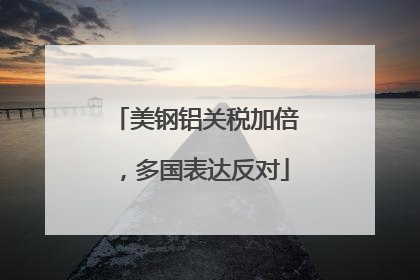 美钢铝关税加倍，多国表达反对