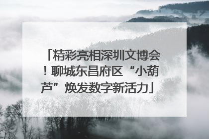精彩亮相深圳文博会！聊城东昌府区“小葫芦”焕发数字新活力