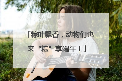 粽叶飘香，动物们也来“粽”享端午！
