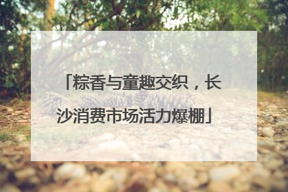 粽香与童趣交织，长沙消费市场活力爆棚