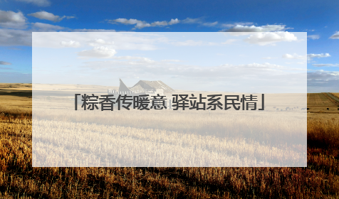 粽香传暖意 驿站系民情