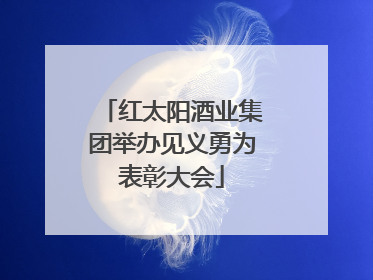 红太阳酒业集团举办见义勇为表彰大会