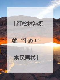 红松林海织就“生态+”富民画卷
