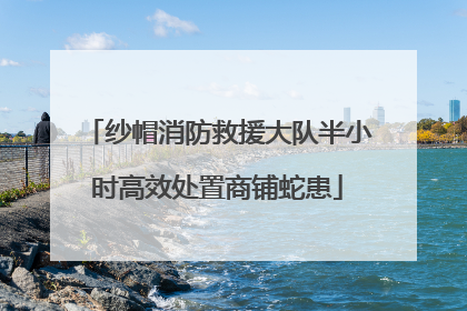 纱帽消防救援大队半小时高效处置商铺蛇患