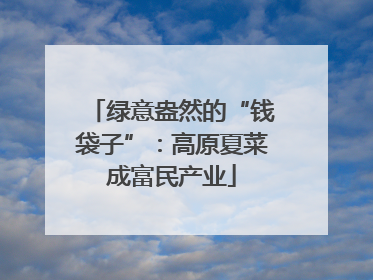 绿意盎然的“钱袋子”：高原夏菜成富民产业
