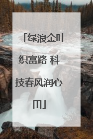 绿浪金叶织富路 科技春风润心田