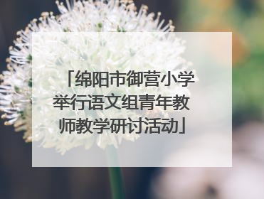 绵阳市御营小学举行语文组青年教师教学研讨活动