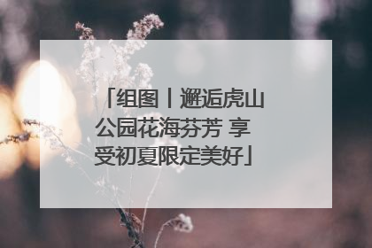 组图丨邂逅虎山公园花海芬芳 享受初夏限定美好