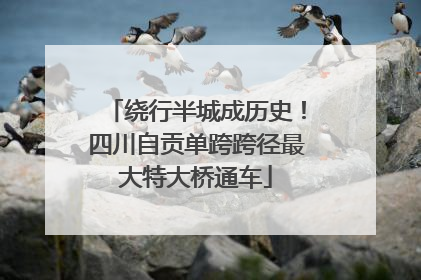 绕行半城成历史！四川自贡单跨跨径最大特大桥通车