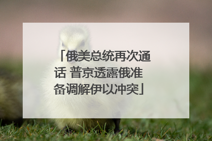 俄美总统再次通话 普京透露俄准备调解伊以冲突