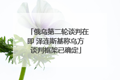 俄乌第二轮谈判在即 泽连斯基称乌方谈判框架已确定