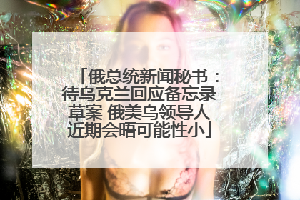 俄总统新闻秘书：待乌克兰回应备忘录草案 俄美乌领导人近期会晤可能性小