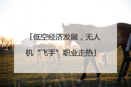 低空经济发展，无人机“飞手”职业走热