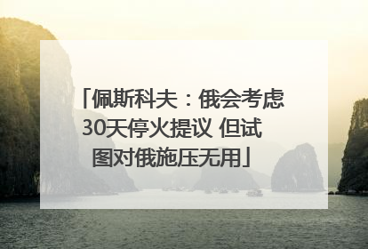 佩斯科夫：俄会考虑30天停火提议 但试图对俄施压无用