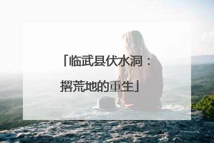 临武县伏水洞：撂荒地的重生