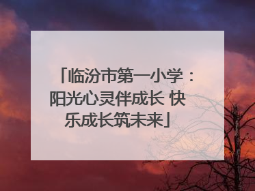 临汾市第一小学：阳光心灵伴成长 快乐成长筑未来