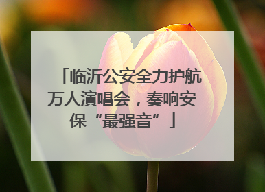 临沂公安全力护航万人演唱会，奏响安保“最强音”