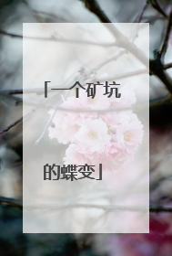 一个矿坑的蝶变