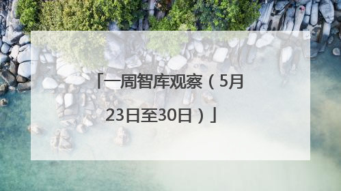一周智库观察（5月23日至30日）