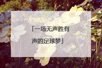 一场无声胜有声的足球梦