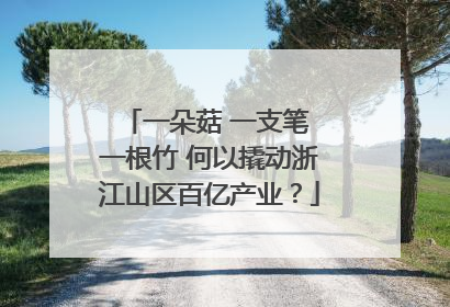 一朵菇 一支笔 一根竹 何以撬动浙江山区百亿产业？