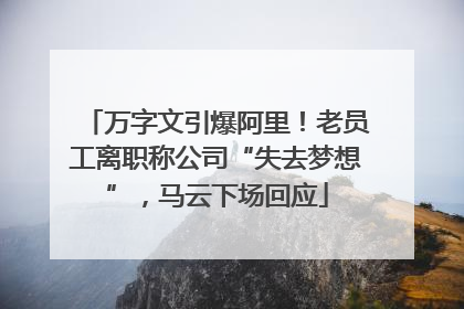 万字文引爆阿里！老员工离职称公司“失去梦想”，马云下场回应