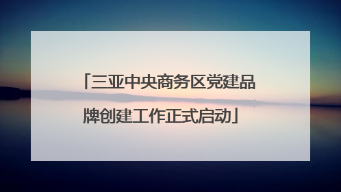 三亚中央商务区党建品牌创建工作正式启动
