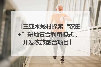 三亚水蛟村探索“农田+”耕地复合利用模式，开发农旅融合项目