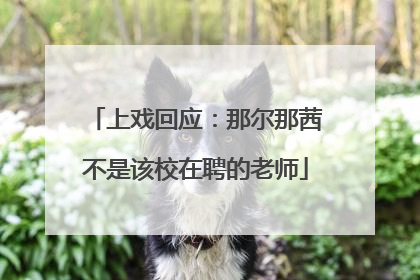 上戏回应：那尔那茜不是该校在聘的老师