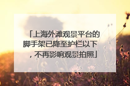 上海外滩观景平台的脚手架已降至护栏以下，不再影响观景拍照