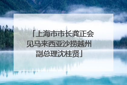 上海市市长龚正会见马来西亚沙捞越州副总理沈桂贤