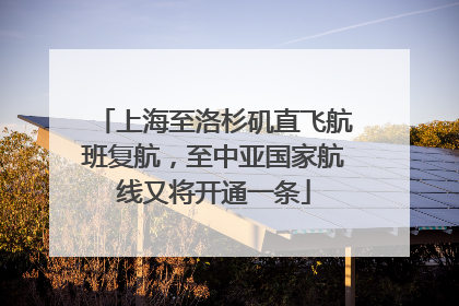 上海至洛杉矶直飞航班复航，至中亚国家航线又将开通一条