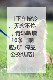 下车按铃、无客不停，青岛新增10条“响应式”停靠公交线路