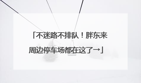 不迷路不排队！胖东来周边停车场都在这了→