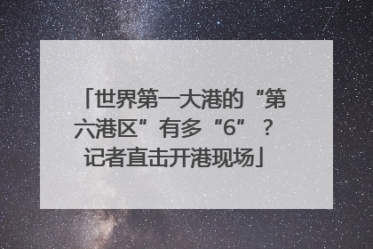 世界第一大港的“第六港区”有多“6”？记者直击开港现场