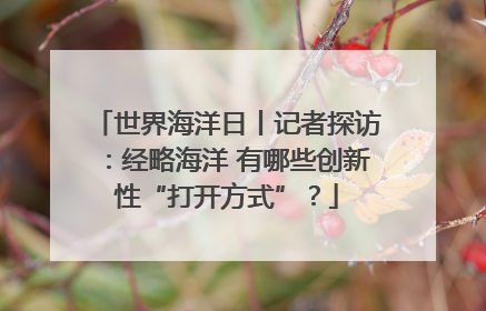 世界海洋日丨记者探访：经略海洋 有哪些创新性“打开方式”？