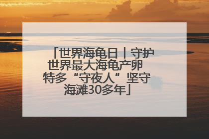 世界海龟日丨守护世界最大海龟产卵 特多“守夜人”坚守海滩30多年