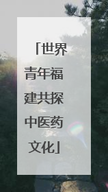 世界青年福建共探中医药文化