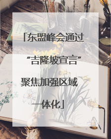 东盟峰会通过“吉隆坡宣言” 聚焦加强区域一体化