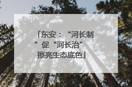东安：“河长制”促“河长治” 擦亮生态底色