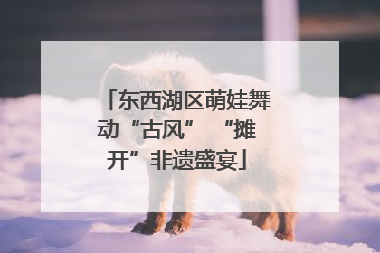 东西湖区萌娃舞动“古风” “摊开”非遗盛宴