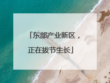 东部产业新区，正在拔节生长