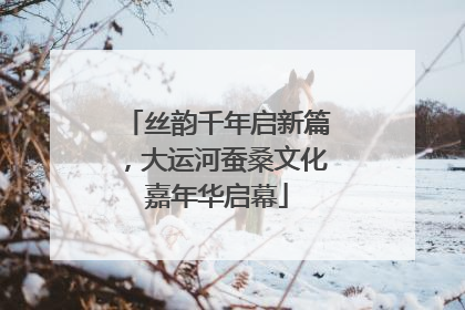 丝韵千年启新篇，大运河蚕桑文化嘉年华启幕