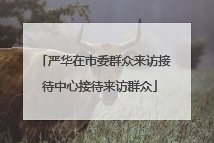 严华在市委群众来访接待中心接待来访群众