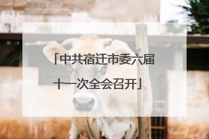 中共宿迁市委六届十一次全会召开