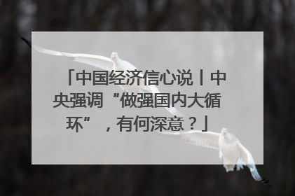中国经济信心说丨中央强调“做强国内大循环”，有何深意？