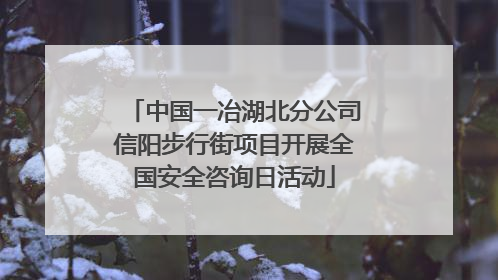 中国一冶湖北分公司信阳步行街项目开展全国安全咨询日活动