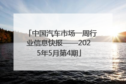 中国汽车市场一周行业信息快报——2025年5月第4期