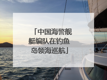 中国海警舰艇编队在钓鱼岛领海巡航
