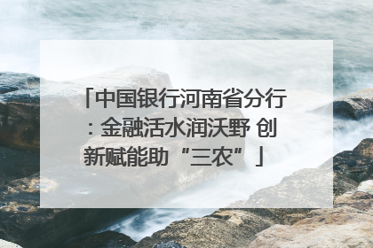 中国银行河南省分行：金融活水润沃野 创新赋能助“三农”